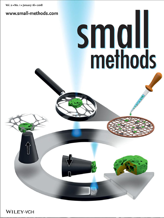 Cover of Small Methods
